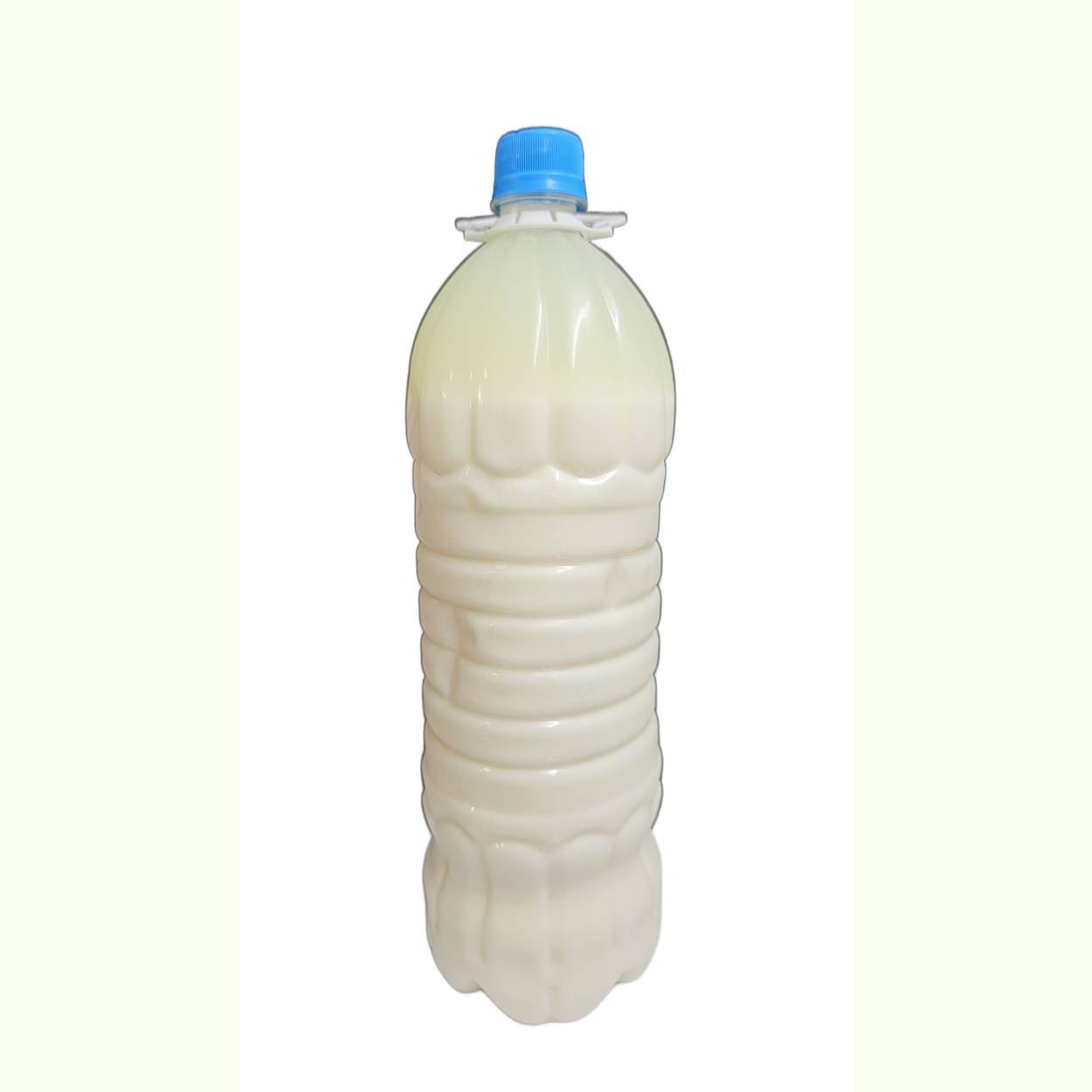 دوغ سنتی 1