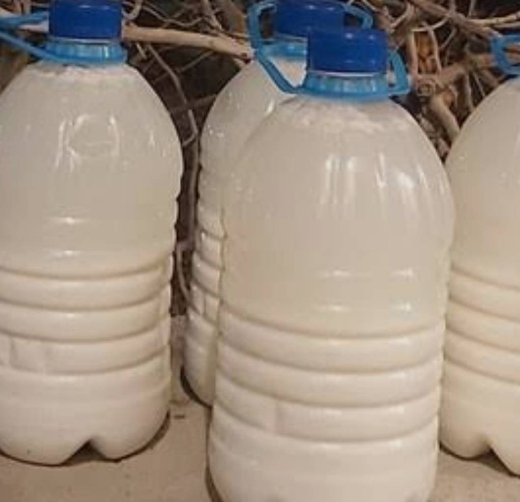 دوغ سنتی 4